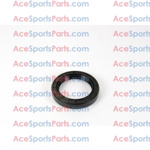 ACE Maxxam 150 Dust Seal 42X30-7