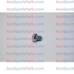 ACE Maxxam 150 Bolt M12 Drain Plug