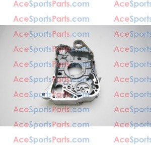 ACE Maxxam 150 R Crankcase Assy Bottom