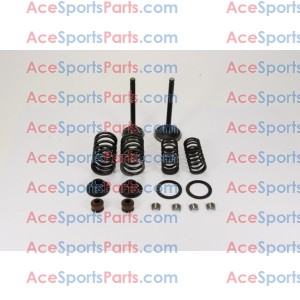 ACE Maxxam 150 Valves Set