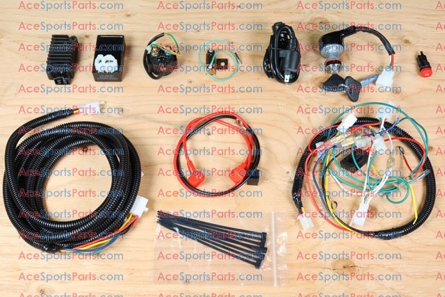ACE Maxxam 150 Wiring Harness