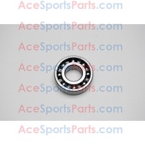 ACE Maxxam 150 Radial Ball Bearing E6204