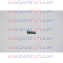 ACE Maxxam 150 Flange Bolt M6 x 20