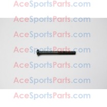 ACE Maxxam 150 Pan Screw Bolt M6 x 60