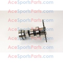 ACE Maxxam 150 Camshaft Comp. 16T Side 2