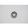 ACE Maxxam 150 Radial Ball Bearing E6203