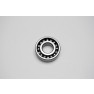 ACE Maxxam 150 Radial Ball Bearing E6204