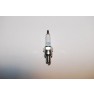 ACE Maxxam 150 Spark Plug (C7HSA NGK)