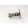 ACE Maxxam 150 Camshaft Comp. 16T Side 2